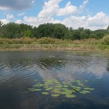 Схема вышивки «на озере»
