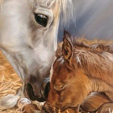 Схема вышивки «Лошади»