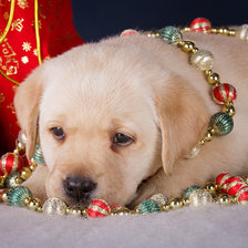 Схема вышивки «Василиса»