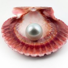 Схема вышивки «Жемчужина 2»