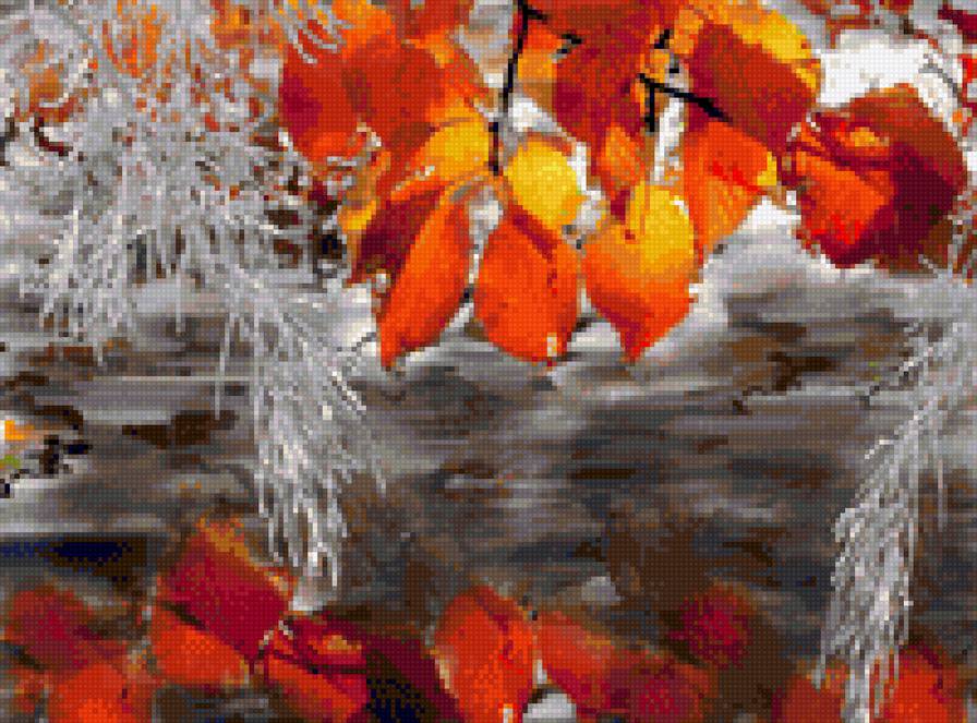 Старый пруд - ветки, пруд, зима - предпросмотр