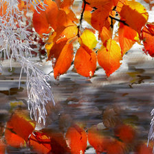 Схема вышивки «Старый пруд»