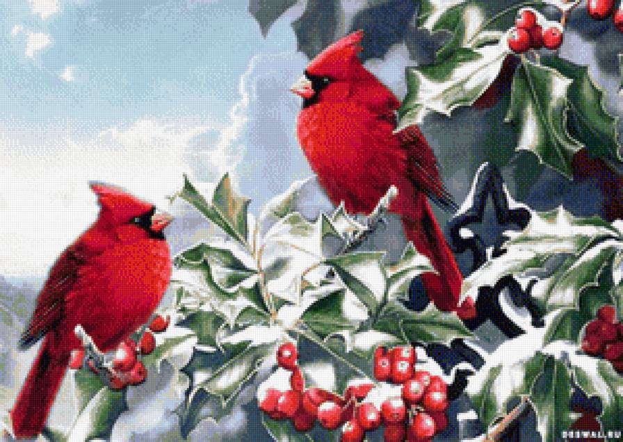 Пара птиц - зима, ягоды, красные - предпросмотр