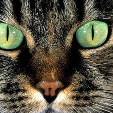 Схема вышивки «Глаза»