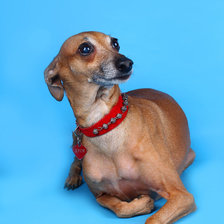 Схема вышивки «Дуся»