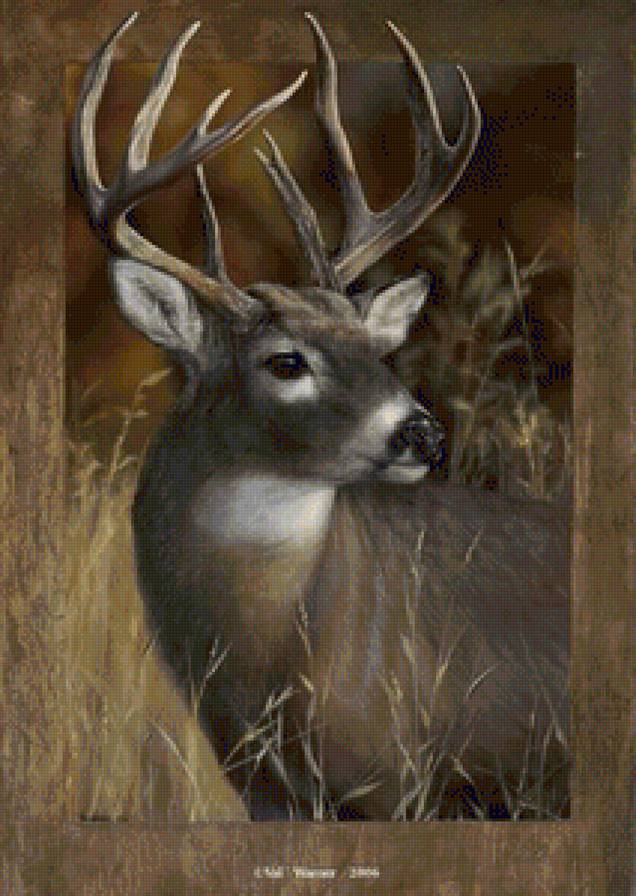 №1109158 - предпросмотр