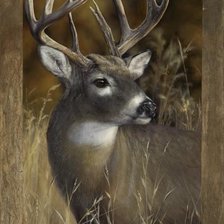 Схема вышивки «№1109158»