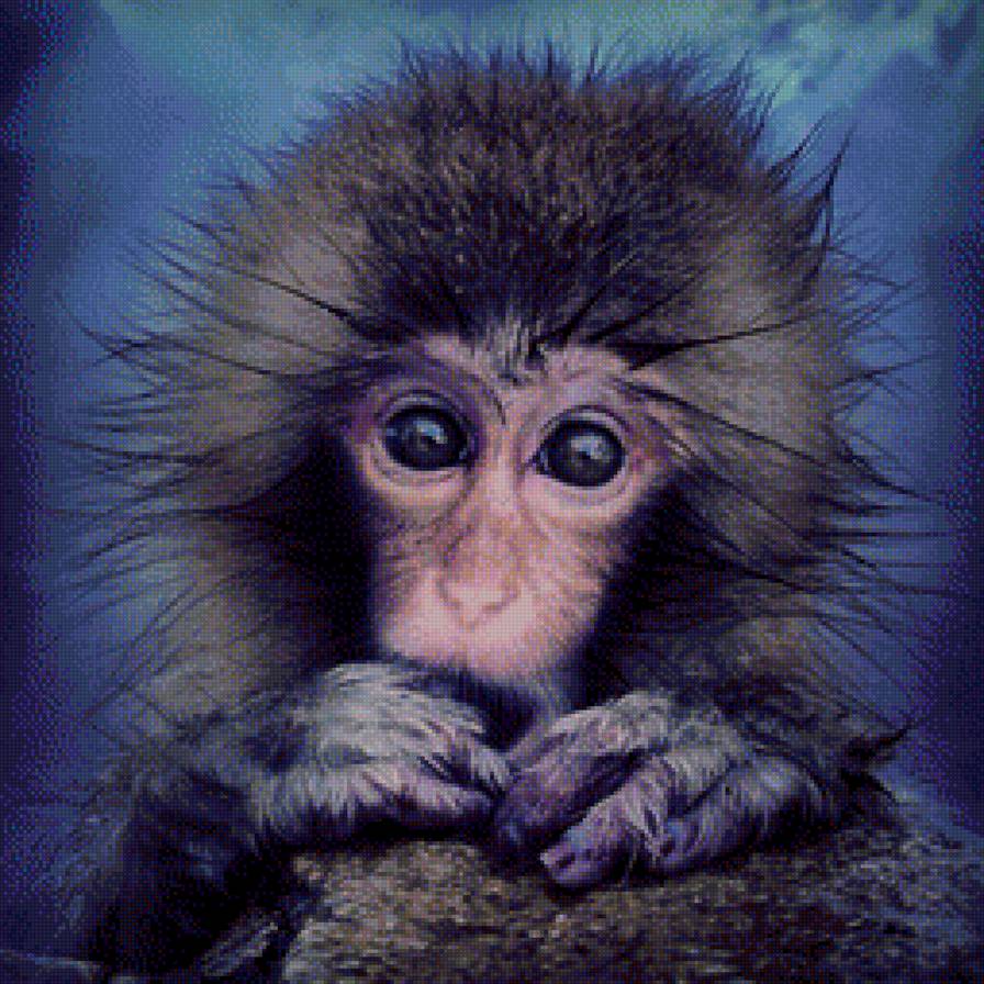 Обезьяна - япония - предпросмотр