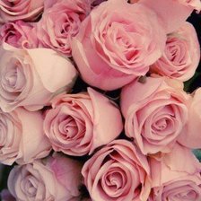 Схема вышивки «розы»