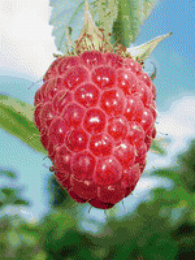 Малина. - ягода, малина - предпросмотр