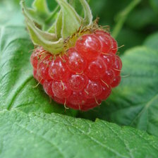 Схема вышивки «Десерт.»