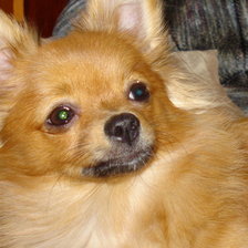 Схема вышивки «Симочка.»