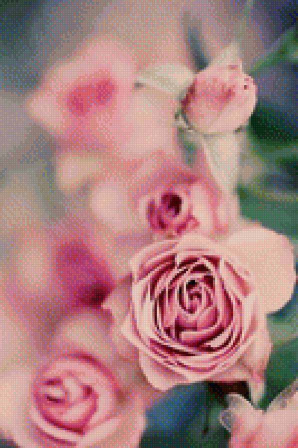 розы - для любимой, для мамы, нежность, цветы, веточки, розы - предпросмотр