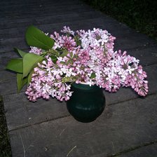 Схема вышивки «Сиреневая ночь.»