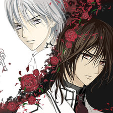 Схема вышивки «Рыцарь-вампир и Зеро»