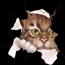 Схема вышивки «кот»