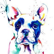 Схема вышивки «Французский бульдог»