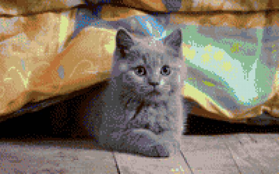 На отдыхе - кот - предпросмотр