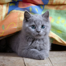 Схема вышивки «На отдыхе»