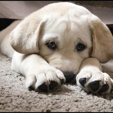 Схема вышивки «Грусть»