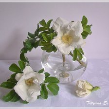 Схема вышивки «Шиповник»