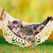 Схема вышивки «Котенок в гамаке»