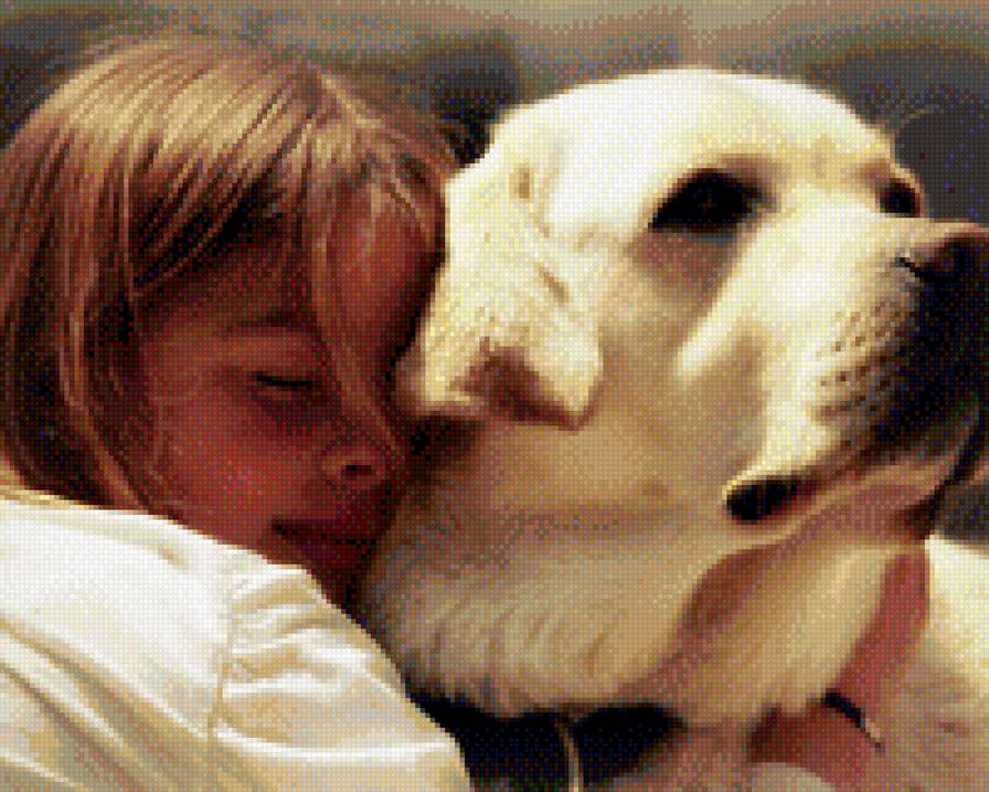 Девочка и лабрадор - дети, лабрадор, девочка - предпросмотр