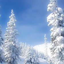 Схема вышивки «Снежный лес»