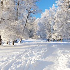 Схема вышивки «Солнечный день»