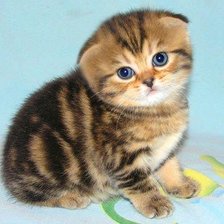 Схема вышивки «Грустинка»