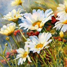 Схема вышивки «Ромашки»