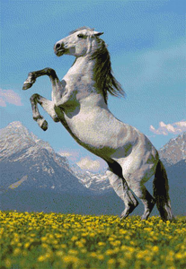 лошадь - животное, конь, лошадь - предпросмотр