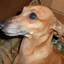 Схема вышивки «Дуся»