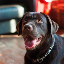 Схема вышивки «Дарья»