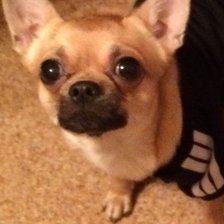 Схема вышивки «Брюс»