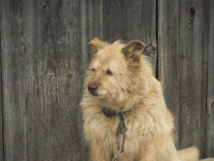 Арбат - предпросмотр