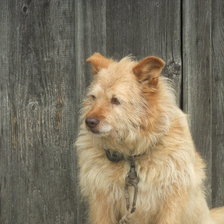 Схема вышивки «Арбат»