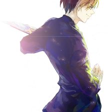 Схема вышивки «Шиндо Хикару»