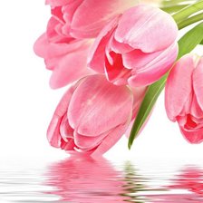 Схема вышивки «тюльпаны»