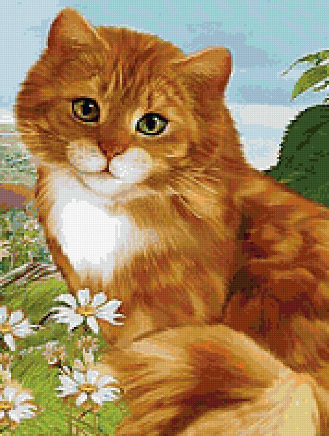 киса - предпросмотр