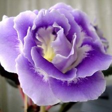 Схема вышивки «цветочек»