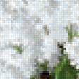 Предпросмотр схемы вышивки «белая сирень» (№1112016)