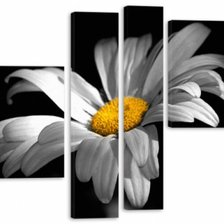 Схема вышивки «Ромашка»