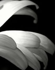 Схема вышивки «часть 1»