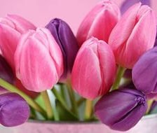 Схема вышивки «тюльпаны»