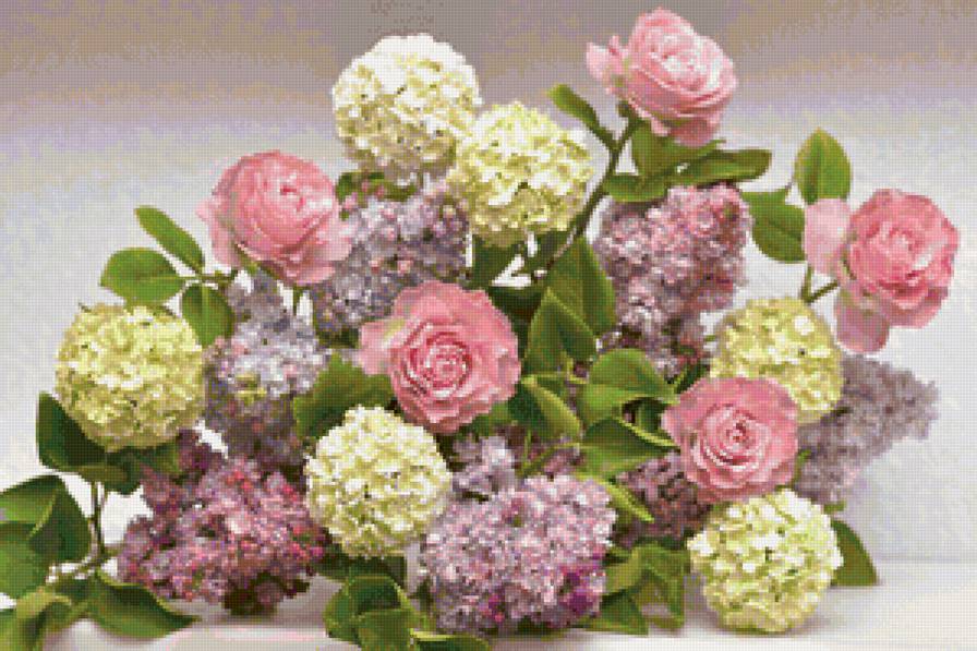 гортензии и розы - букет, розы, цветы, гортензии - предпросмотр