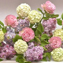 Схема вышивки «гортензии и розы»