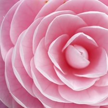 Схема вышивки «Цветок»