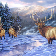 Схема вышивки «в мире животных»