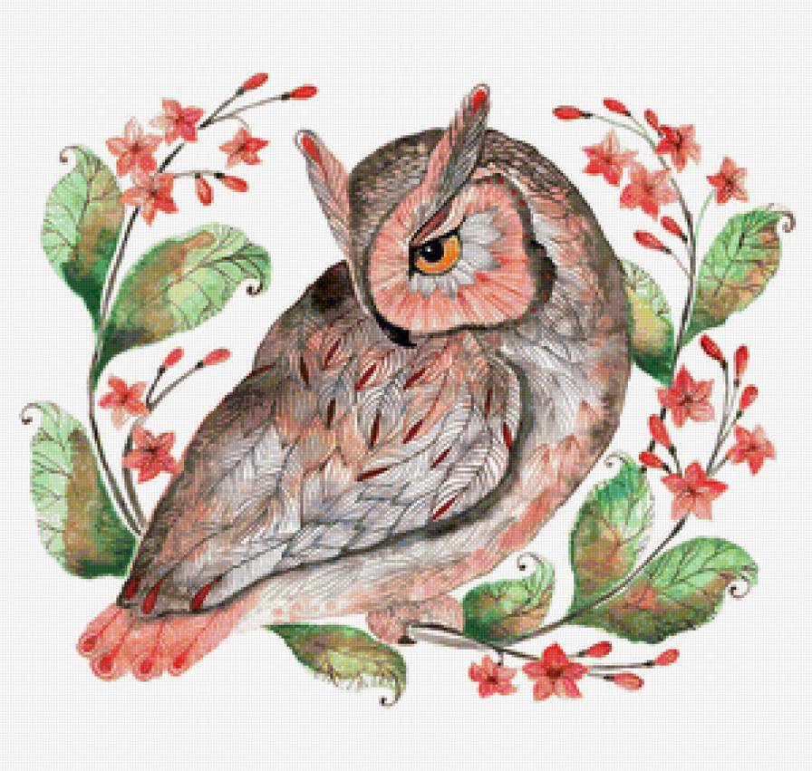 нежная совушка - предпросмотр